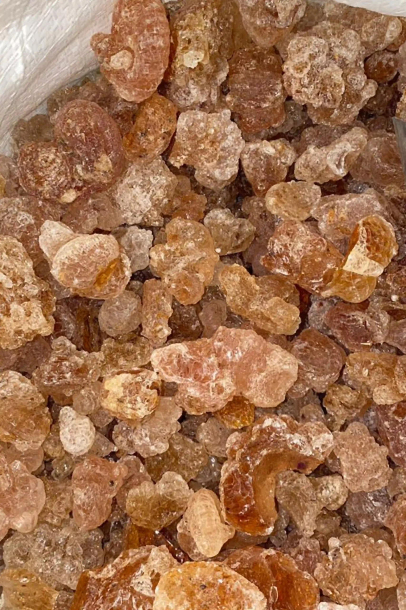 spray-dry-nagaad (4)