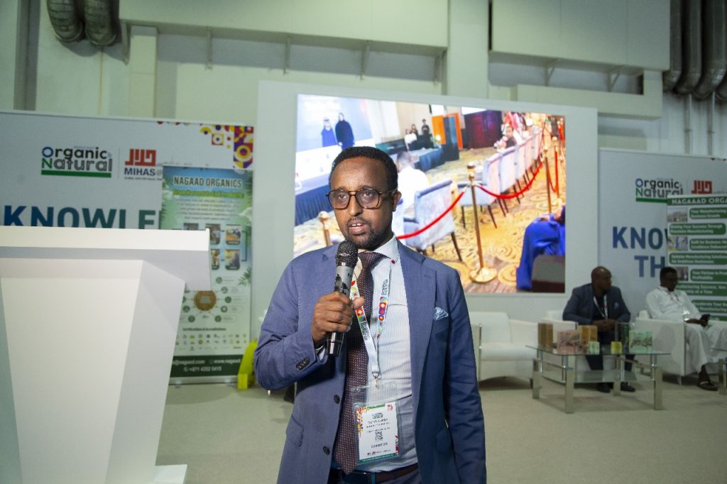 WhatsApp Image 2024-12-20 at 16.01.37_2a54c700