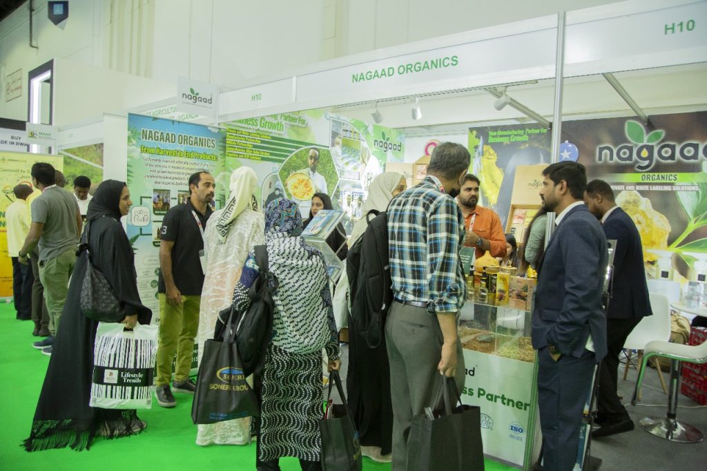 WhatsApp Image 2024-12-20 at 16.06.10_07a50028