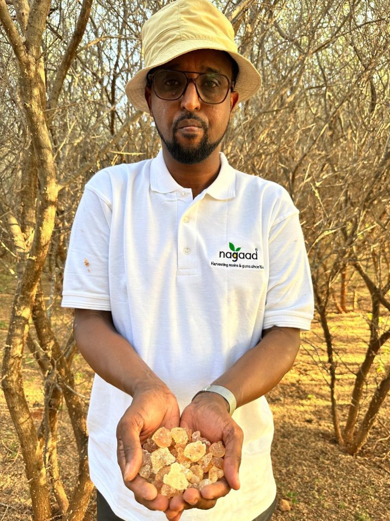 WhatsApp Image 2025-11-04 at 8.50.15 PM (1)