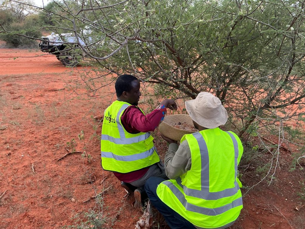 WhatsApp Image 2025-11-04 at 9.03.46 PM (11)