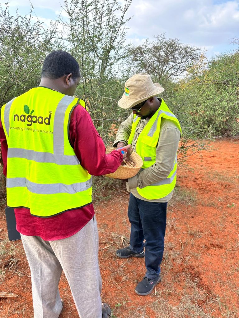 WhatsApp Image 2025-11-04 at 9.03.46 PM