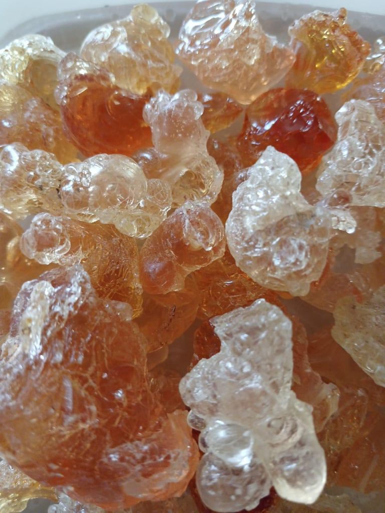 WhatsApp Image 2025-11-04 at 9.05.14 PM